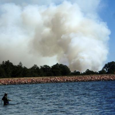 Lebeat1dowdynfcc07wcw