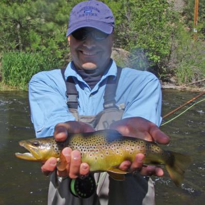 Chbigbrown1