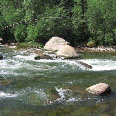 Upperroaringforkemail