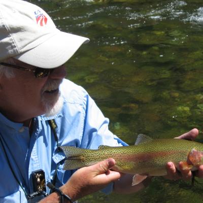 Wwhotbow1