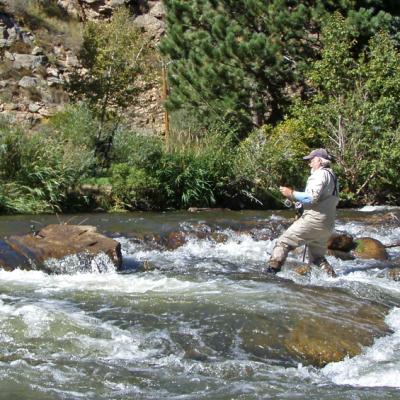 Wwfishing